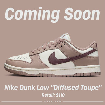 NIKE SB DUNK DIFFUSED TAUPE